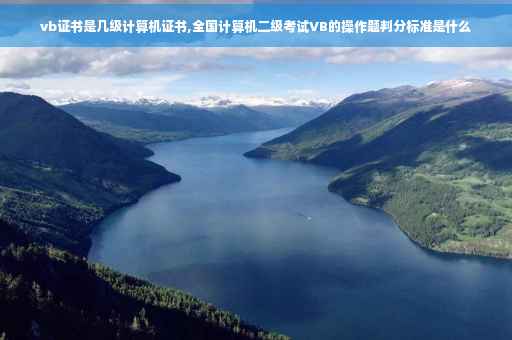 vb证书是几级计算机证书,全国计算机二级考试VB的操作题判分标准是什么