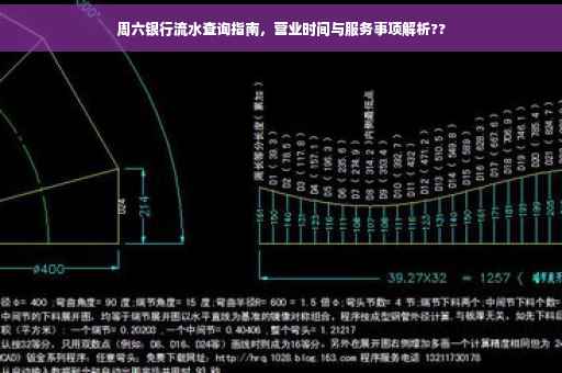 周六银行流水查询指南，营业时间与服务事项解析??