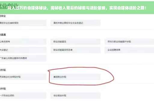 月入过万的自媒体秘诀，揭秘收入背后的秘密与进阶策略，实现自媒体进阶之路！