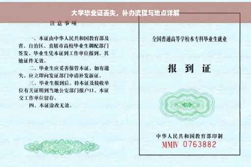 大学毕业证丢失，补办流程与地点详解