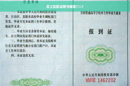 员工在职证明书概览?⚡️?