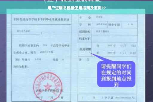 用户证明书模板使用指南及范例??