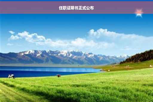 任职证明书正式公布