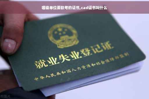 哪些单位要软考的证书,cad证书叫什么