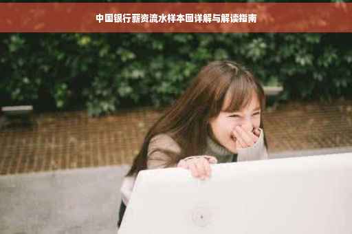 中国银行薪资流水样本图详解与解读指南