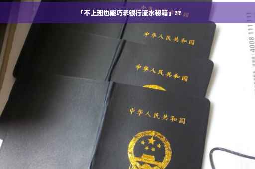 「不上班也能巧养银行流水秘籍」??