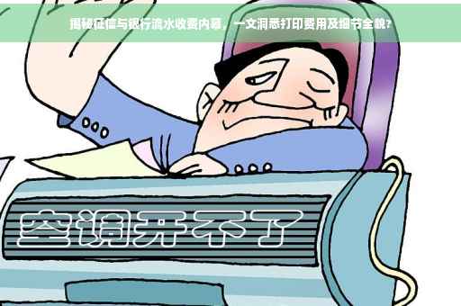 揭秘征信与银行流水收费内幕，一文洞悉打印费用及细节全貌?