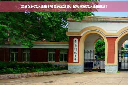 建设银行流水账单手机查看全攻略，轻松掌握流水账单信息！