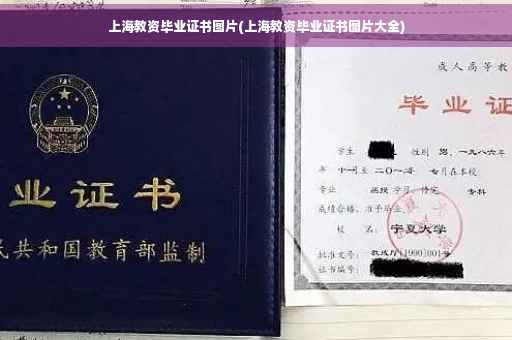 上海教资毕业证书图片(上海教资毕业证书图片大全)