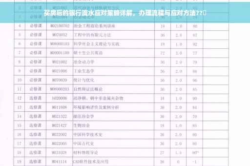 买房后的银行流水应对策略详解，办理流程与应对方法??✨