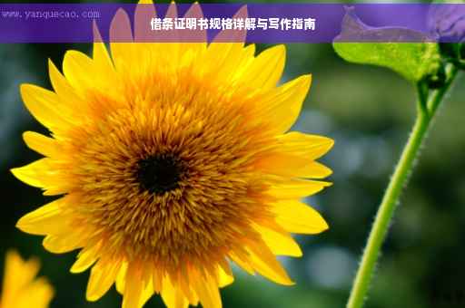 借条证明书规格详解与写作指南