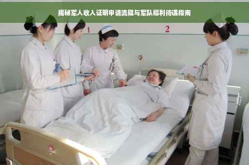 揭秘军人收入证明申请流程与军队福利待遇指南
