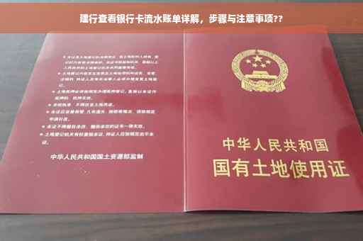建行查看银行卡流水账单详解，步骤与注意事项??