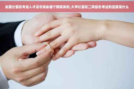全国计算机专业人才证书是由哪个部颁发的,大学计算机二级报名考试的流程是什么