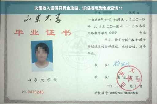 沈阳收入证明开具全攻略，详细指南及地点查询??