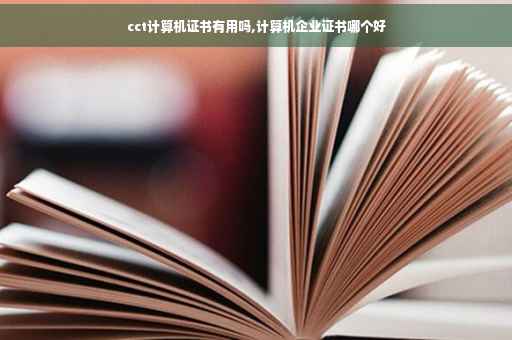 cct计算机证书有用吗,计算机企业证书哪个好