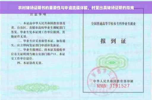 农村猪场证明书的重要性与申请流程详解，村里出具猪场证明的指南
