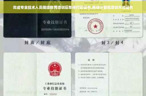 完成专业技术人员继续教育培训后怎样打印证书,网络计算机培训方式证书