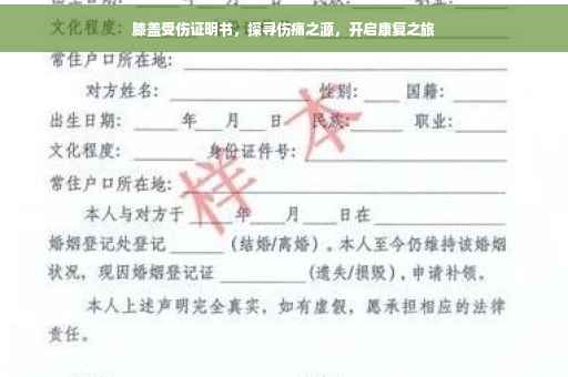 膝盖受伤证明书，探寻伤痛之源，开启康复之旅