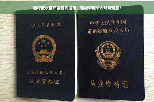 银行流水客户端查询指南，轻松掌握个人财务动态！