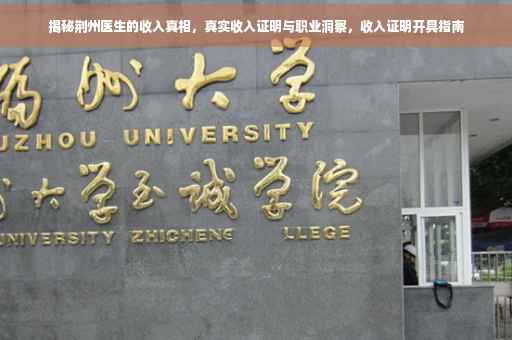 揭秘荆州医生的收入真相，真实收入证明与职业洞察，收入证明开具指南