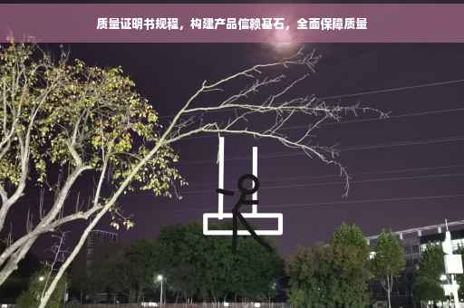 质量证明书规程，构建产品信赖基石，全面保障质量