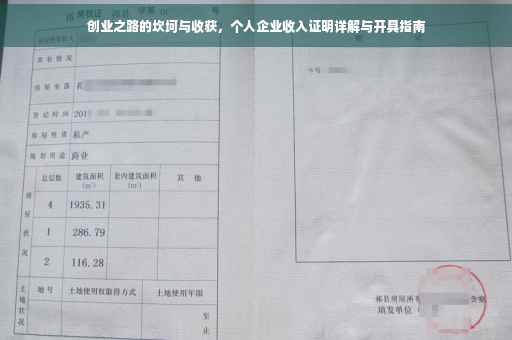 创业之路的坎坷与收获，个人企业收入证明详解与开具指南