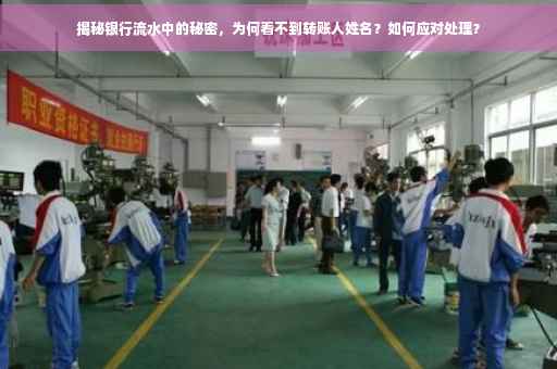 揭秘银行流水中的秘密，为何看不到转账人姓名？如何应对处理？