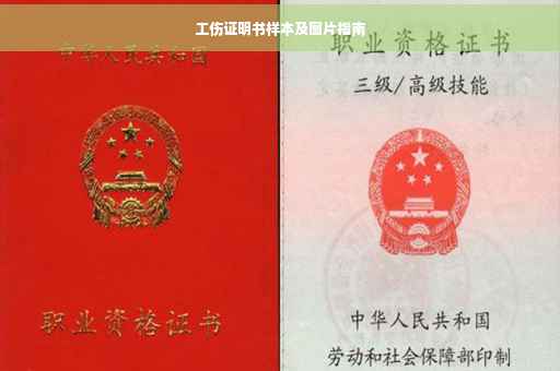 工伤证明书样本及图片指南