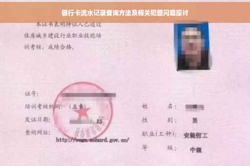 银行卡流水记录查询方法及相关犯罪问题探讨