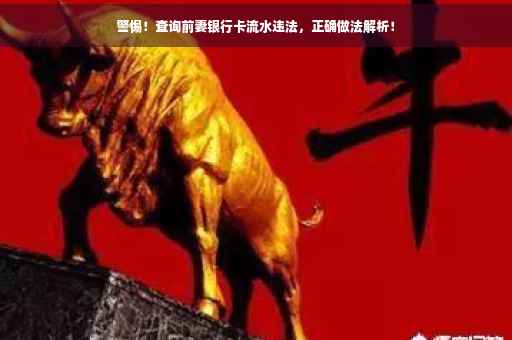 警惕！查询前妻银行卡流水违法，正确做法解析！