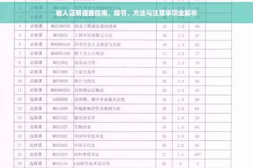 收入证明调查指南，细节、方法与注意事项全解析