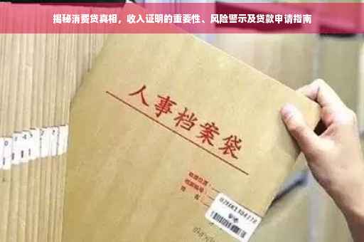 揭秘消费贷真相，收入证明的重要性、风险警示及贷款申请指南