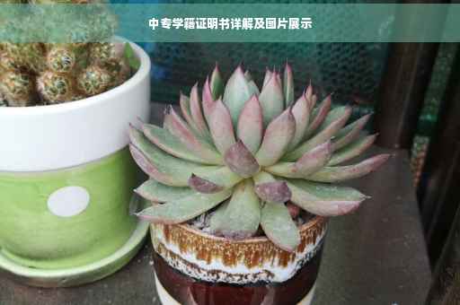 中专学籍证明书详解及图片展示