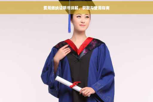 费用缴纳证明书详解，获取与使用指南