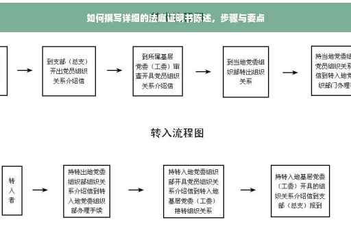 如何撰写详细的法庭证明书陈述，步骤与要点