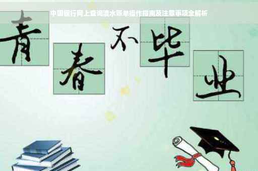 中国银行网上查询流水账单操作指南及注意事项全解析