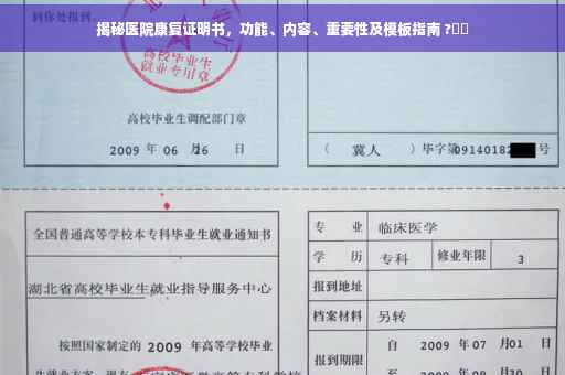 揭秘医院康复证明书，功能、内容、重要性及模板指南 ?⚡️