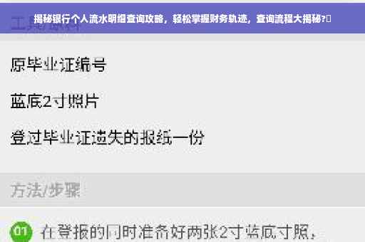 揭秘银行个人流水明细查询攻略，轻松掌握财务轨迹，查询流程大揭秘?✨