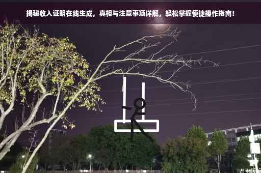 揭秘收入证明在线生成，真相与注意事项详解，轻松掌握便捷操作指南！