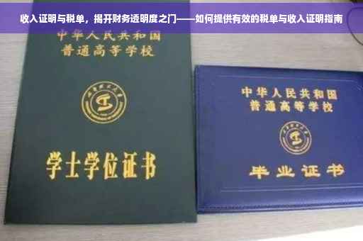 收入证明与税单，揭开财务透明度之门——如何提供有效的税单与收入证明指南