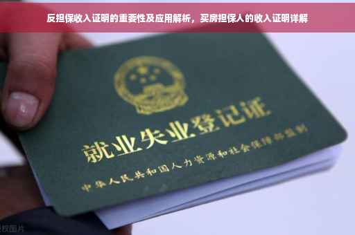 反担保收入证明的重要性及应用解析，买房担保人的收入证明详解