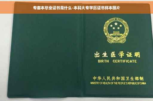 专套本毕业证书是什么-本科大专学历证书样本图片