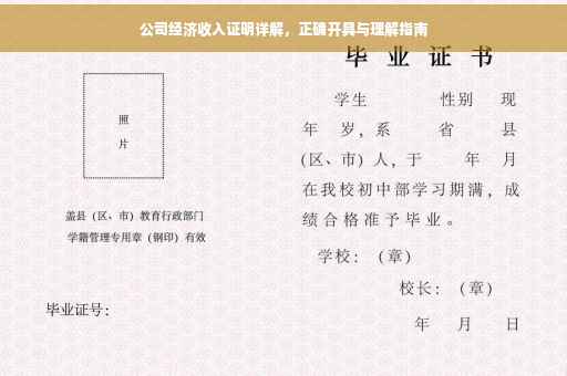 公司经济收入证明详解，正确开具与理解指南