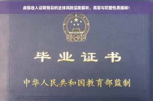 虚假收入证明背后的法律风险深度解析，危害与犯罪性质揭秘！