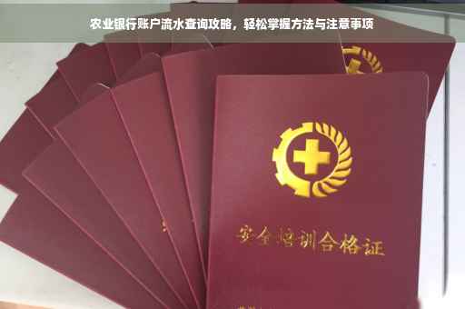 农业银行账户流水查询攻略，轻松掌握方法与注意事项