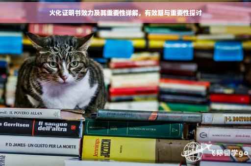 火化证明书效力及其重要性详解，有效期与重要性探讨