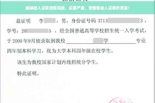 揭秘收入证明造假风险，后果严重，警惕假收入证明的危害！