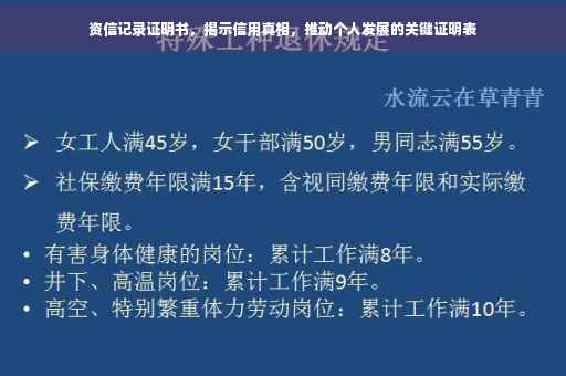 资信记录证明书，揭示信用真相，推动个人发展的关键证明表