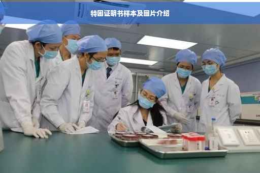 特困证明书样本及图片介绍